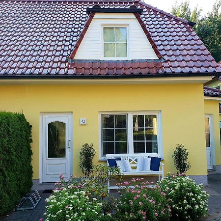 Villa Am Deich 43 à Zingst Extérieur photo